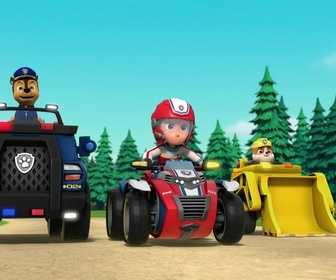 Paw Patrol, la Pat'Patrouille - M. Hellinger le baby-sitter