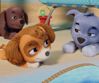 Paw Patrol, la Pat'Patrouille - Les vacances de M. Hellinger