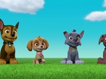 Paw Patrol, la Pat'Patrouille
