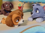 Paw Patrol, la Pat'Patrouille Paw Patrol, la Pat'Patrouille