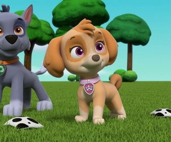 Paw Patrol, la Pat'Patrouille - Le trophée de Monsieur Hellinger