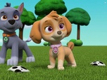 Paw Patrol, la Pat'Patrouille