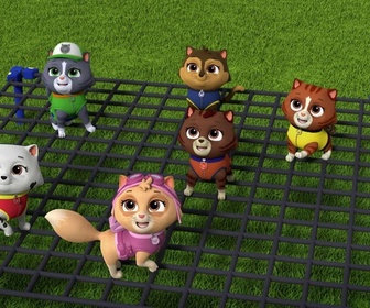 Paw Patrol, la Pat'Patrouille - Le concours de sculpture sur sable