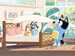 Bluey Bluey