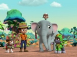Paw Patrol, la Pat'Patrouille