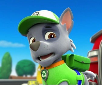Paw Patrol, la Pat'Patrouille - S01 E31 - La piscine