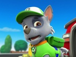 Paw Patrol, la Pat'Patrouille