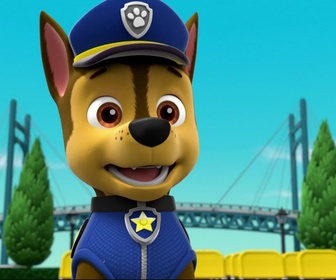 Paw Patrol, la Pat'Patrouille - Tous en scène !