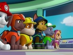 Paw Patrol, la Pat'Patrouille Paw Patrol, la Pat'Patrouille