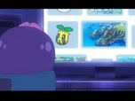 Pokémon Pokémon