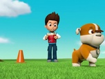 Paw Patrol, la Pat'Patrouille