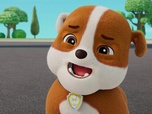 Paw Patrol, la Pat'Patrouille