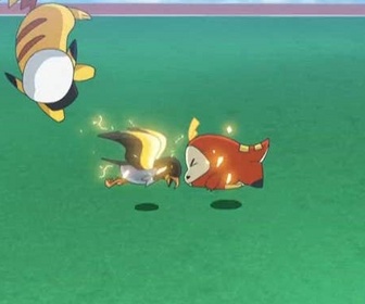Pokémon : les horizons - C'est l'heure de l'entraînement spécial