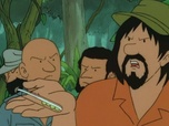 Les aventures de tintin