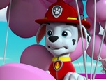 Paw Patrol, la Pat'Patrouille