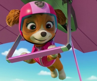 Paw Patrol, la Pat'Patrouille - Sur la route avec Stella : Le Parc de l'Os dOr