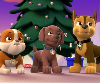 Paw Patrol, la Pat'Patrouille - Joyeux Noël, les amis !