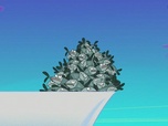 Zig et Sharko