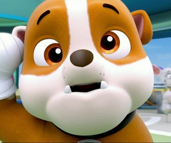 Paw Patrol, la Pat'Patrouille - Pop pop boogie