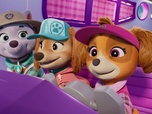 Paw Patrol, la Pat'Patrouille