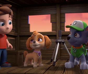 Paw Patrol, la Pat'Patrouille - Monsieur Hellinger s'illumine