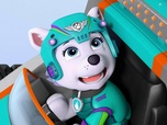 Paw Patrol, la Pat'Patrouille