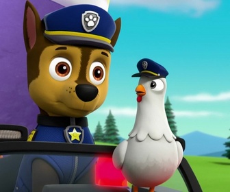 Paw Patrol, la Pat'Patrouille - Dans la peau de Galinetta