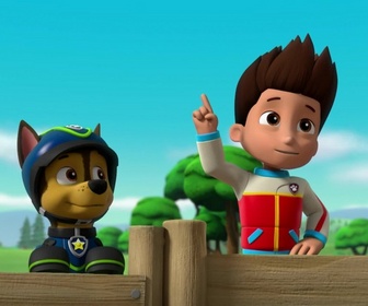Paw Patrol, la Pat'Patrouille - Le miel a disparu !