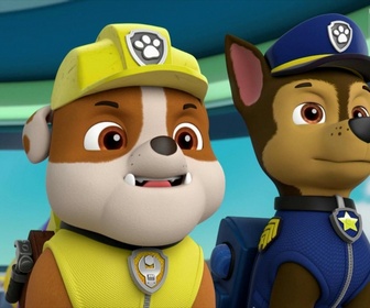 Paw Patrol, la Pat'Patrouille - La montgolfière du désert