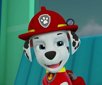 Paw Patrol, la Pat'Patrouille - La Pat'Patrouille et le petit loup blanc