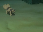 Pokémon Pokémon