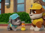 Paw Patrol, la Pat'Patrouille
