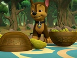 Paw Patrol, la Pat'Patrouille