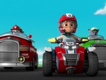 Paw Patrol, la Pat'Patrouille