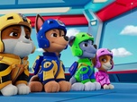 Paw Patrol, la Pat'Patrouille