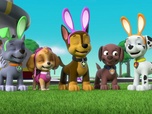 Paw Patrol, la Pat'Patrouille