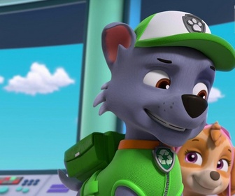 Paw Patrol, la Pat'Patrouille - Toilettage à domicile