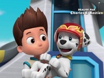 Paw Patrol, la Pat'Patrouille Paw Patrol, la Pat'Patrouille