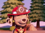 Paw Patrol, la Pat'Patrouille