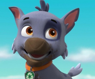 Paw Patrol, la Pat'Patrouille - Le Lav'Animaux