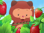 Taki Tanuki
