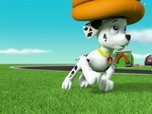 Paw Patrol, la Pat'Patrouille