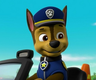 Paw Patrol, la Pat'Patrouille - A la recherche du bébé kangourou