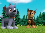 Paw Patrol, la Pat'Patrouille