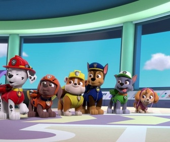 Paw Patrol, la Pat'Patrouille - Toilettage à domicile