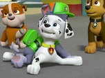 Paw Patrol, la Pat'Patrouille