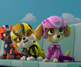 Paw Patrol, la Pat'Patrouille - Le pique-nique de l'extrême