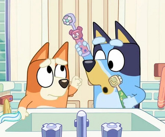 Bluey - 31/07/2026