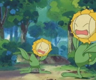 Pokémon - Le territoire interdit