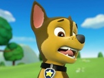 Paw Patrol, la Pat'Patrouille Paw Patrol, la Pat'Patrouille